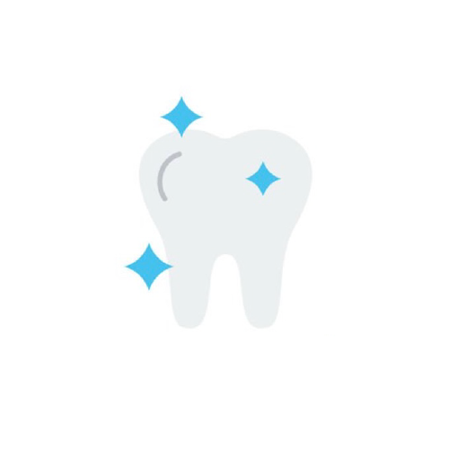 診療項目：予防歯科