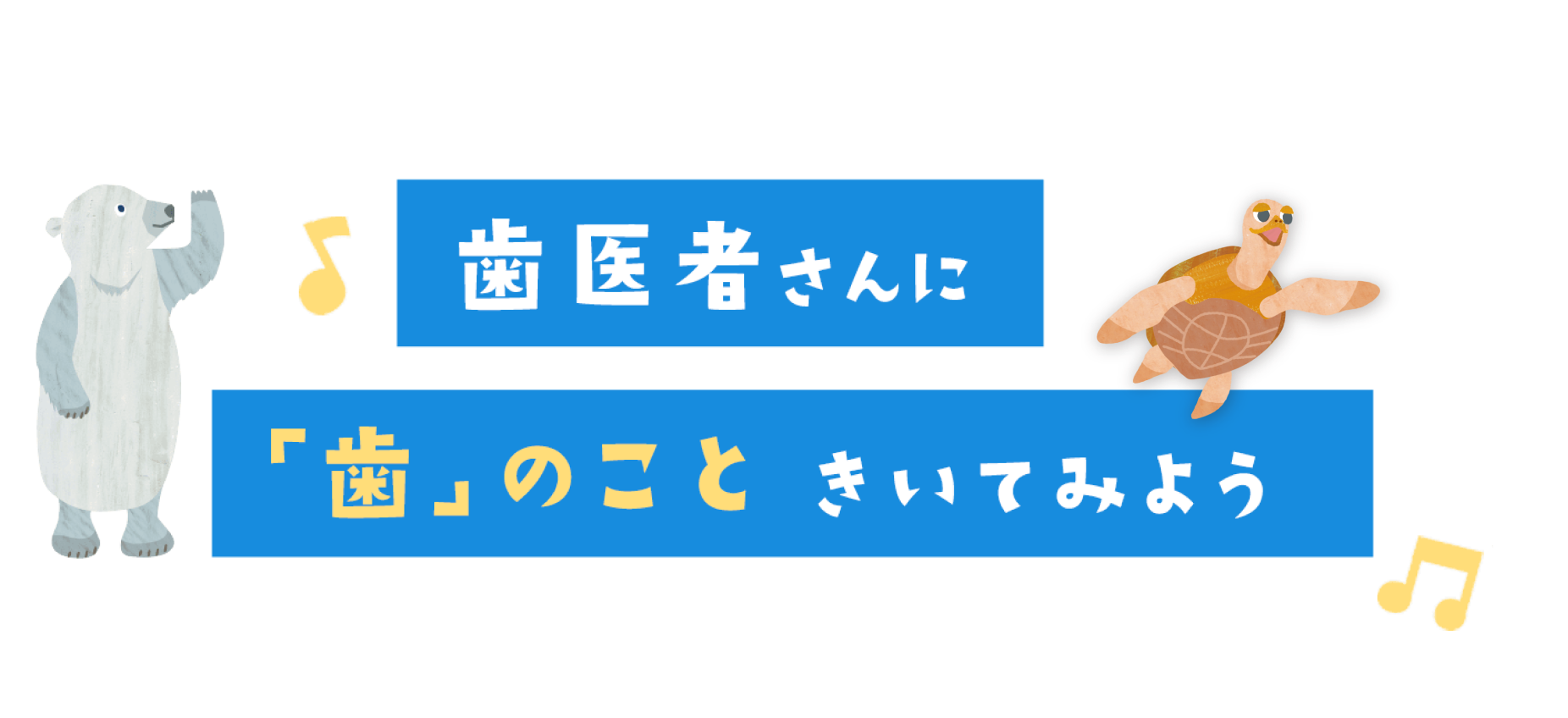 歯医者さんにきいてみよう