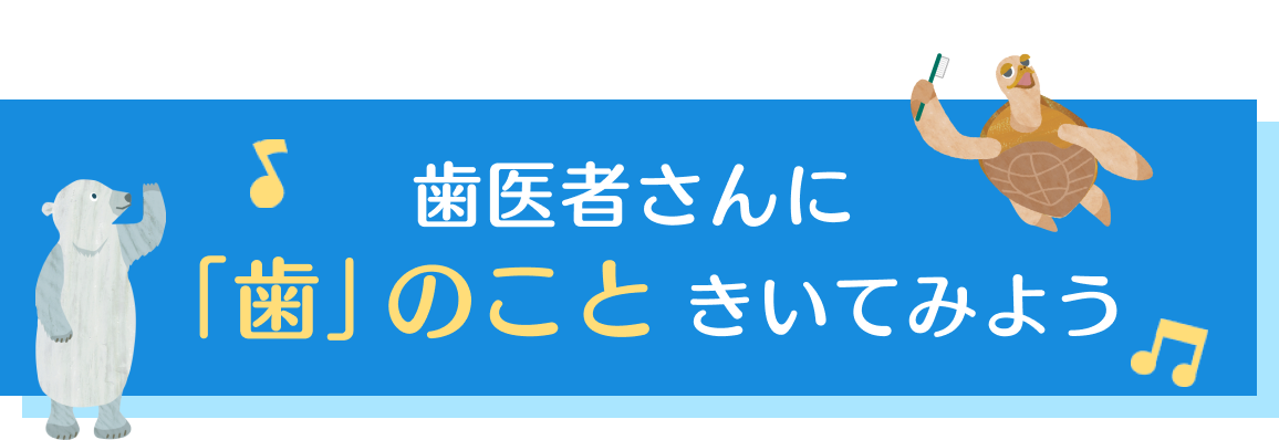 歯医者さんにきいてみよう